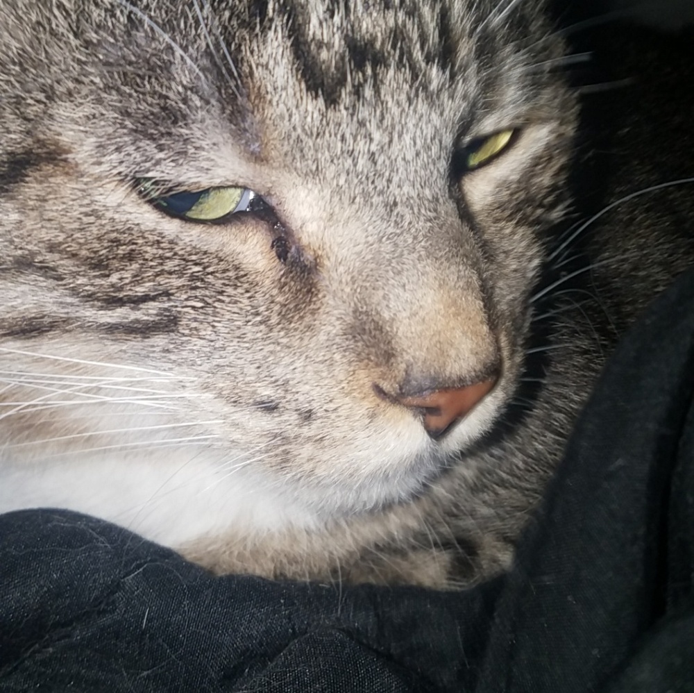 Meet your Posher, Keona